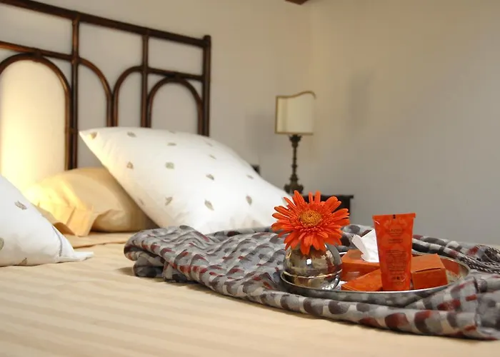 Alveluu Ristorante E *