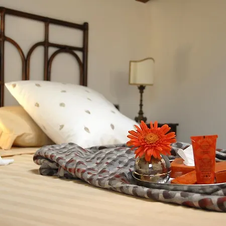 Alveluu Ristorante E *