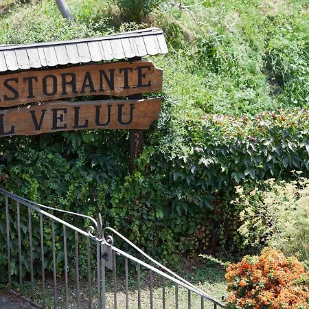 Alveluu Ristorante E אתר נופש טרמצו